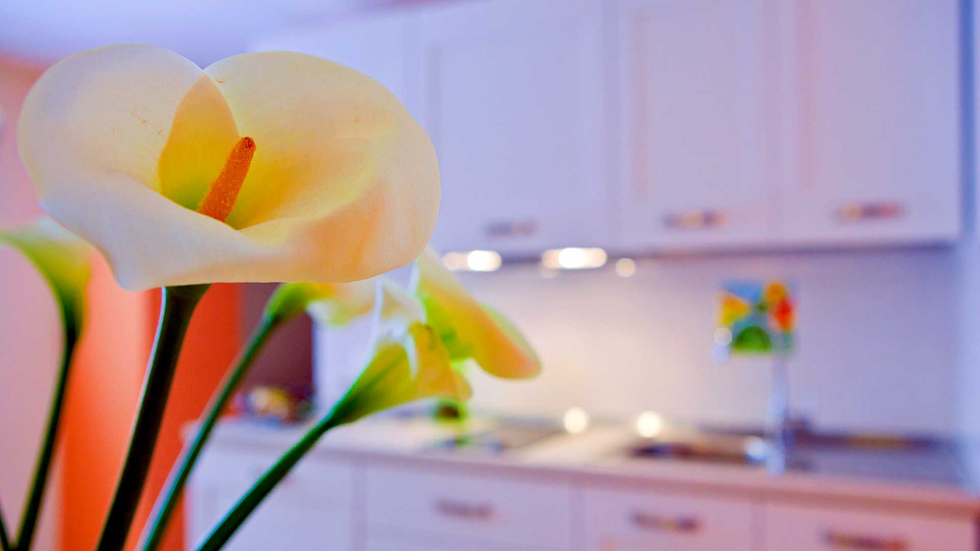 Bilocale Standard con balconcino vista città, Palazzo Ossuna Trapani TP