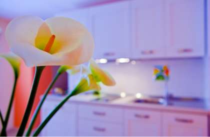 Servizi Palazzo Ossuna - Trapani (TP) Sicilia