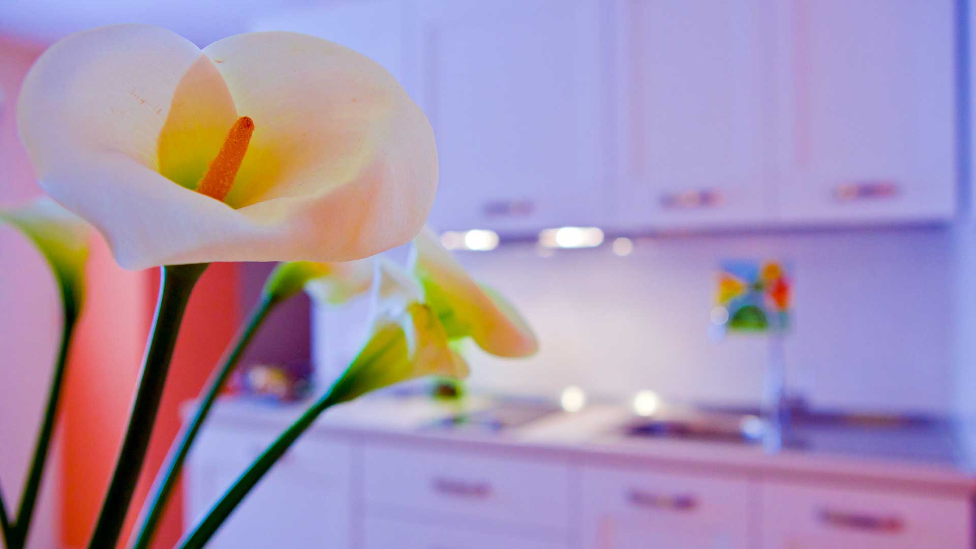 Servizi Trapani -  Palazzo Ossuna